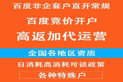 案例分析：信息流广告投放转化率提升策略
